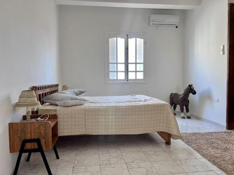 Dar Zakaria Toursitic Area Apartment Tozeur Exterior foto